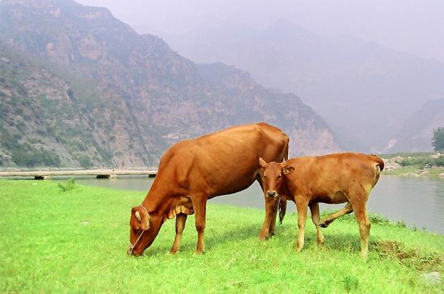 行测言语理解方面的成语怎么学,行测必背的成语