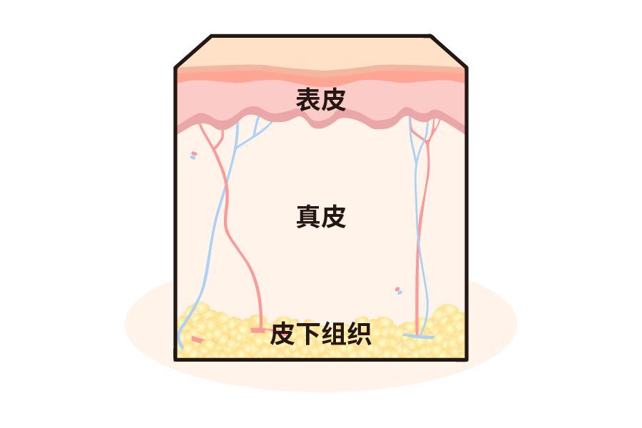 身体皮肤护理去痘印,身体保湿祛鸡皮肤