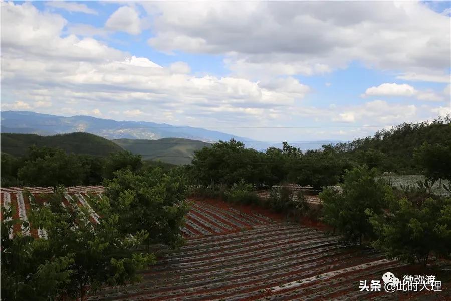 弥渡县这几个村人居环境大评比，结果怎么样？