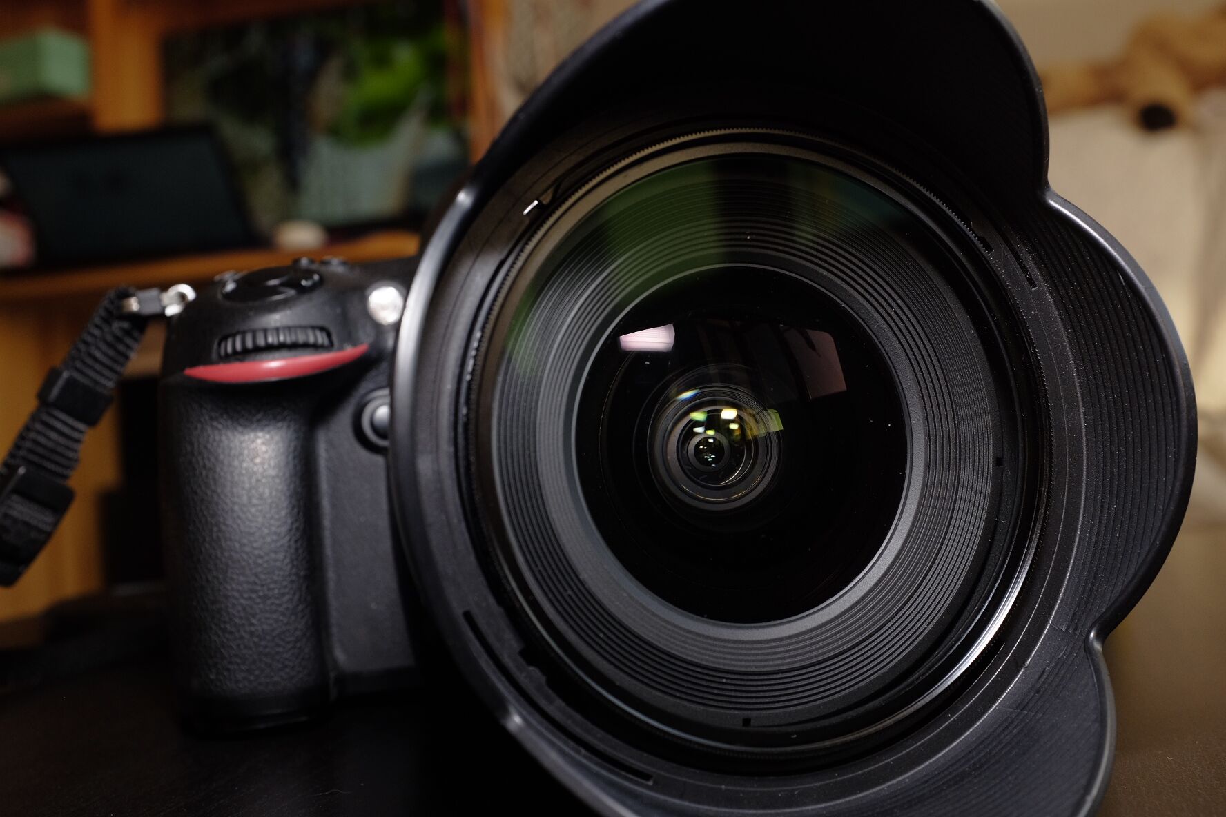 冷门镜头——图丽AT-X17-35mmF4PROFX超广角镜头使用报告