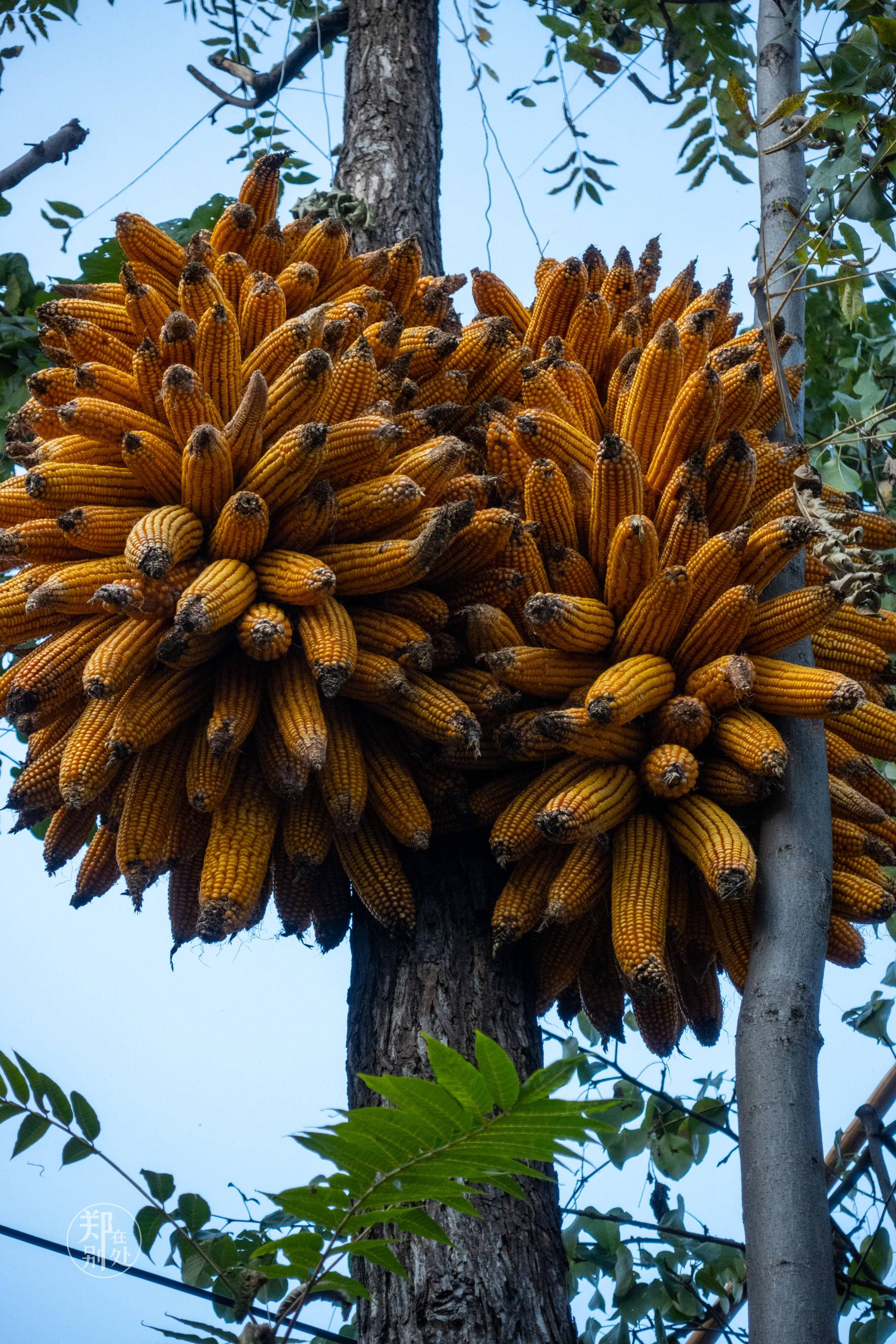 山西太行山攻略,山西太行山古村落自驾游