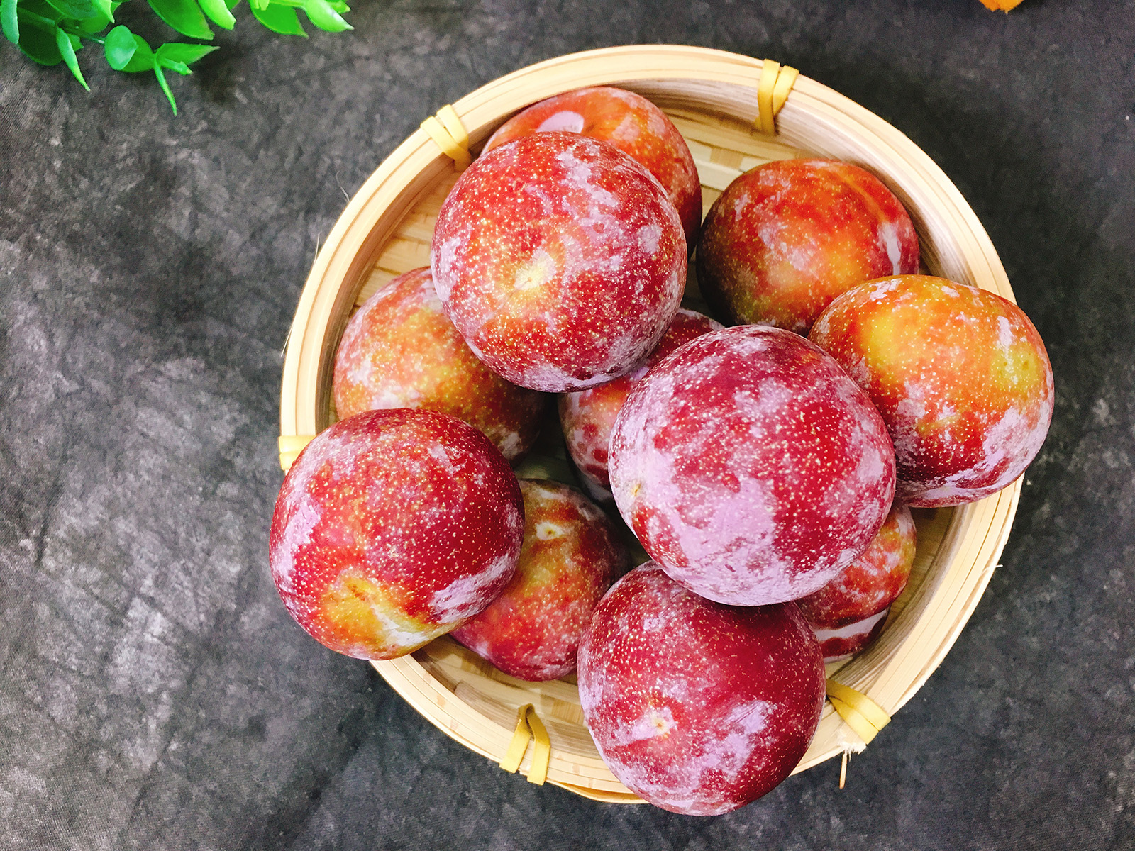 没熟的李子能做什么,没熟的李子酸甜