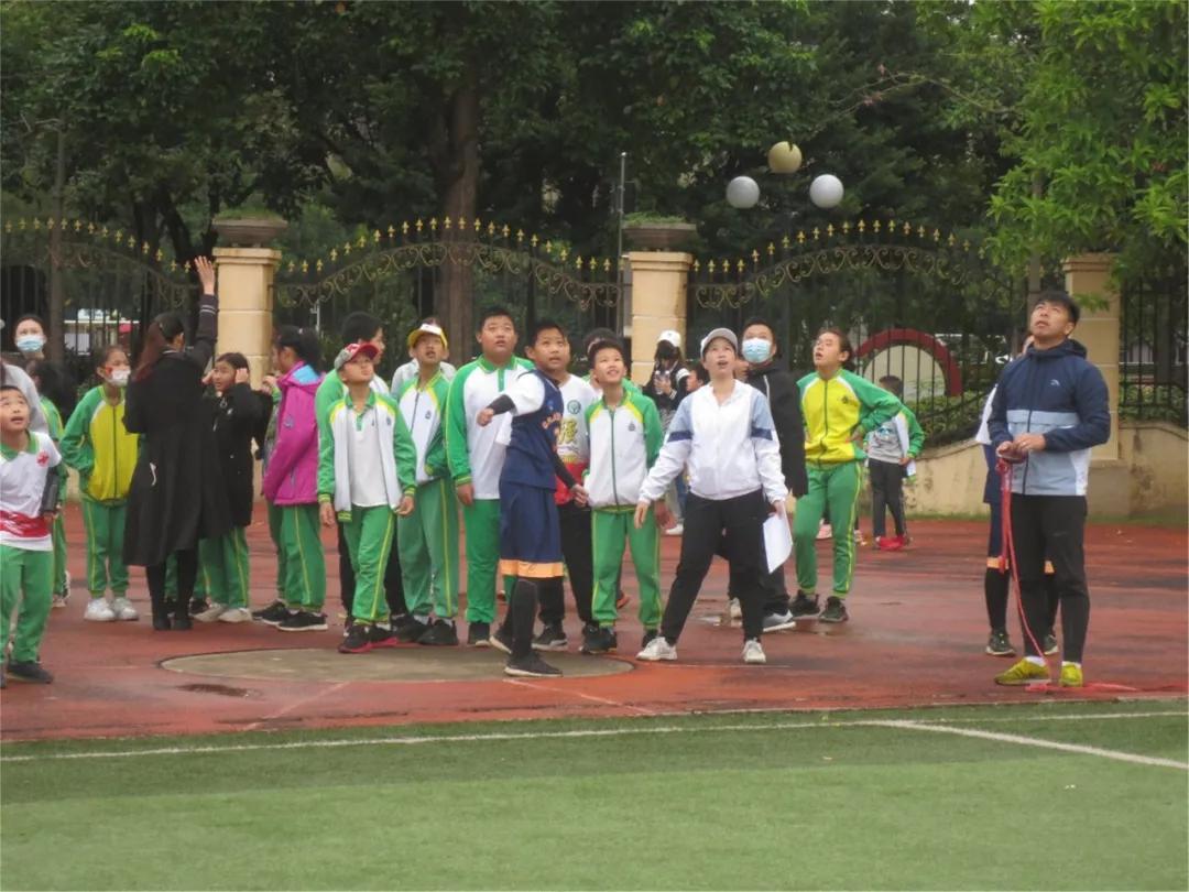 龙腾虎跃展英姿,龙腾虎跃展宏图