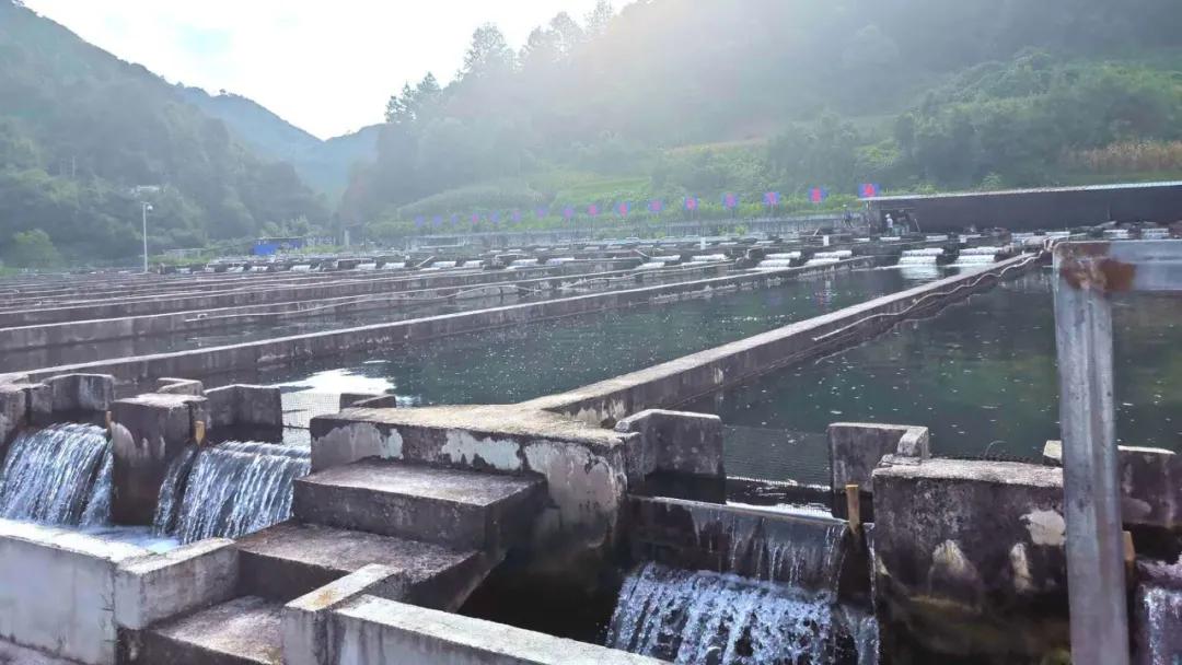 水生动物外来入侵标准,水生动物怎么办理机场托运