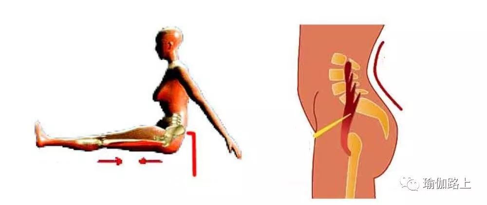 26腰痛可以试试这样拉伸,腰肌僵硬如何拉伸