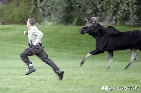 反进化论,足球的进化