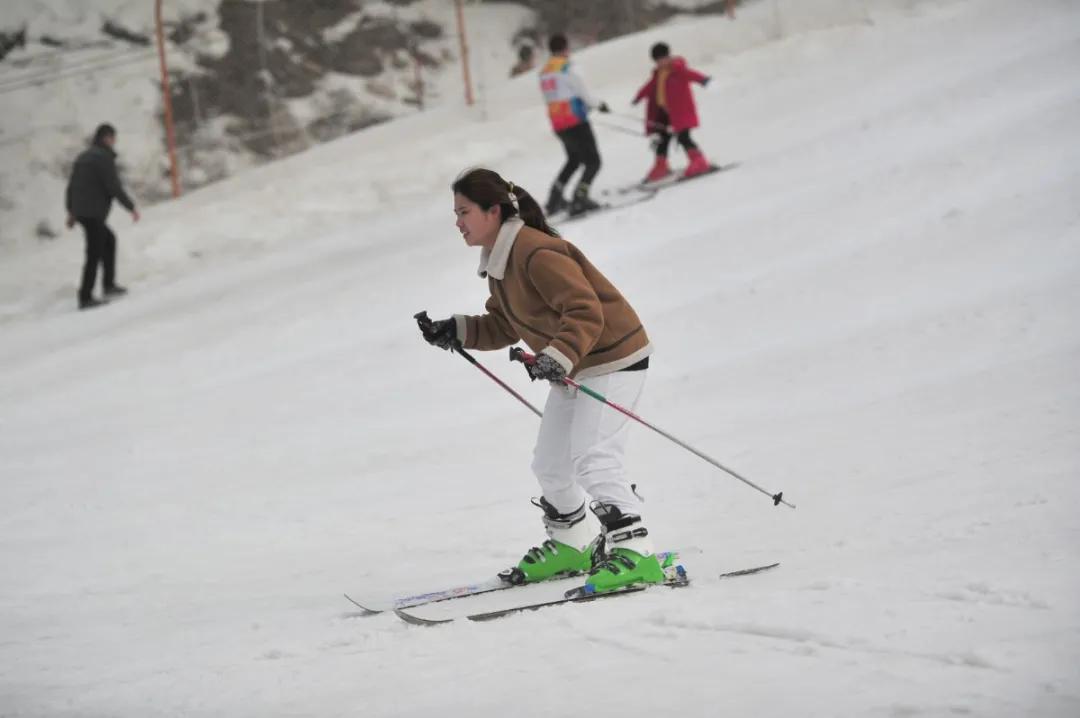 萌翻了原视频,萌翻了