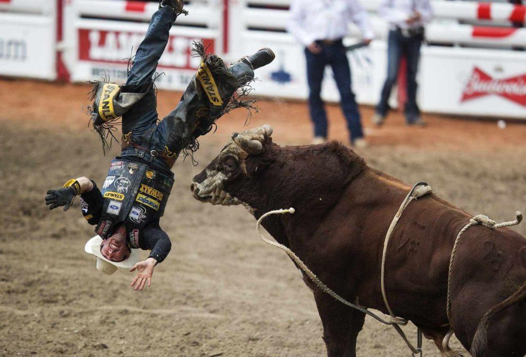 22张搞笑照片,体育搞笑图片100张