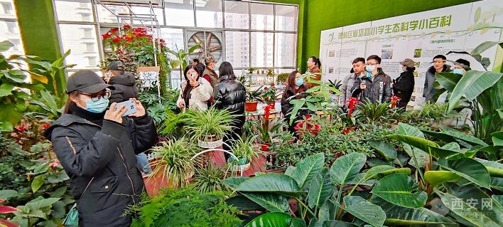 调研老旧小区改造和文明城市创建,高质量发展看新区