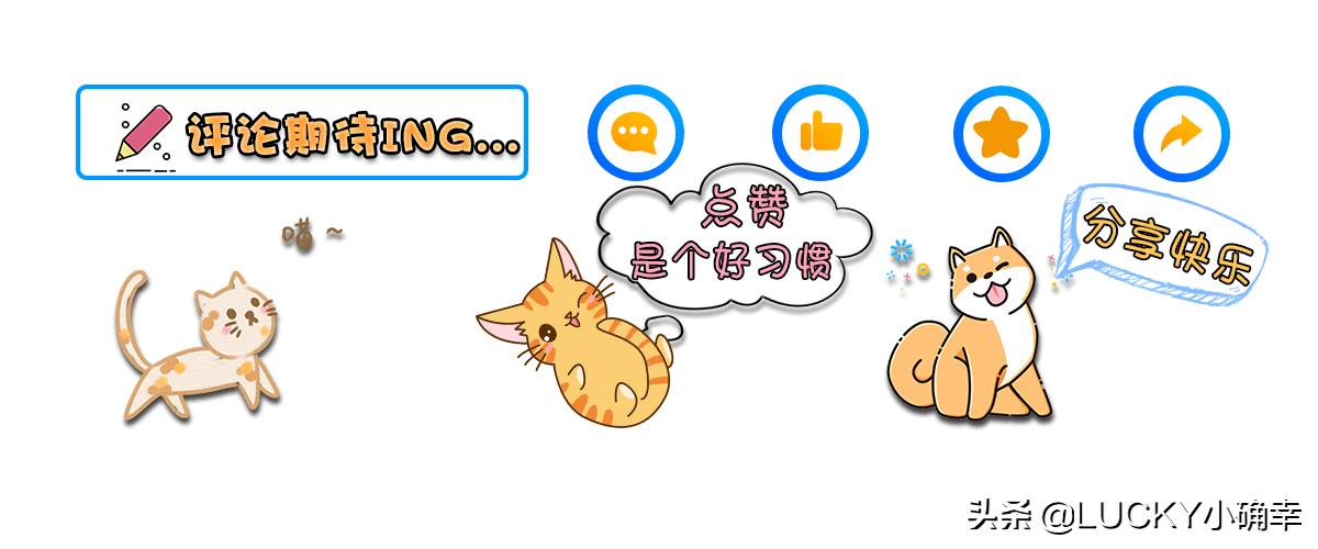 猫咪喝水呛鼻子怎么办,猫咪不爱喝水鼻子干怎么办