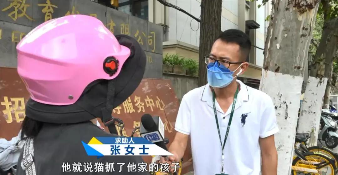 小猫被箭射伤后续,小猫被打伤了腿