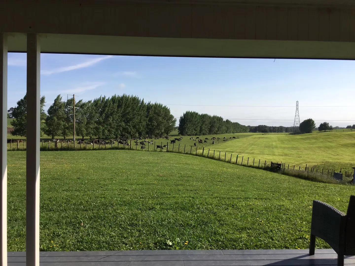 记忆中的旅行之新西兰（北岛）