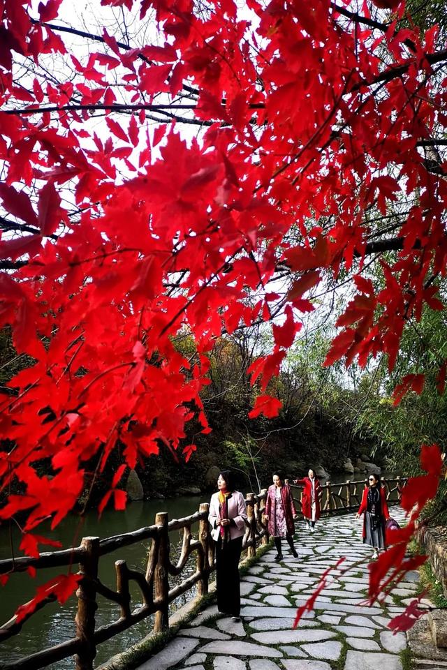 西泰山是什么样的,西泰山为啥叫西泰山