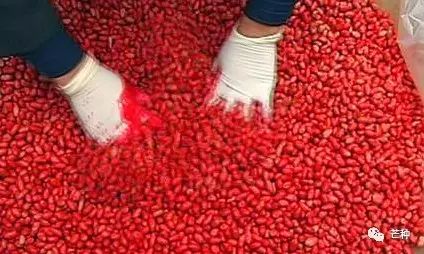 花生高产栽培技术视频,种花生到收花生的所有过程