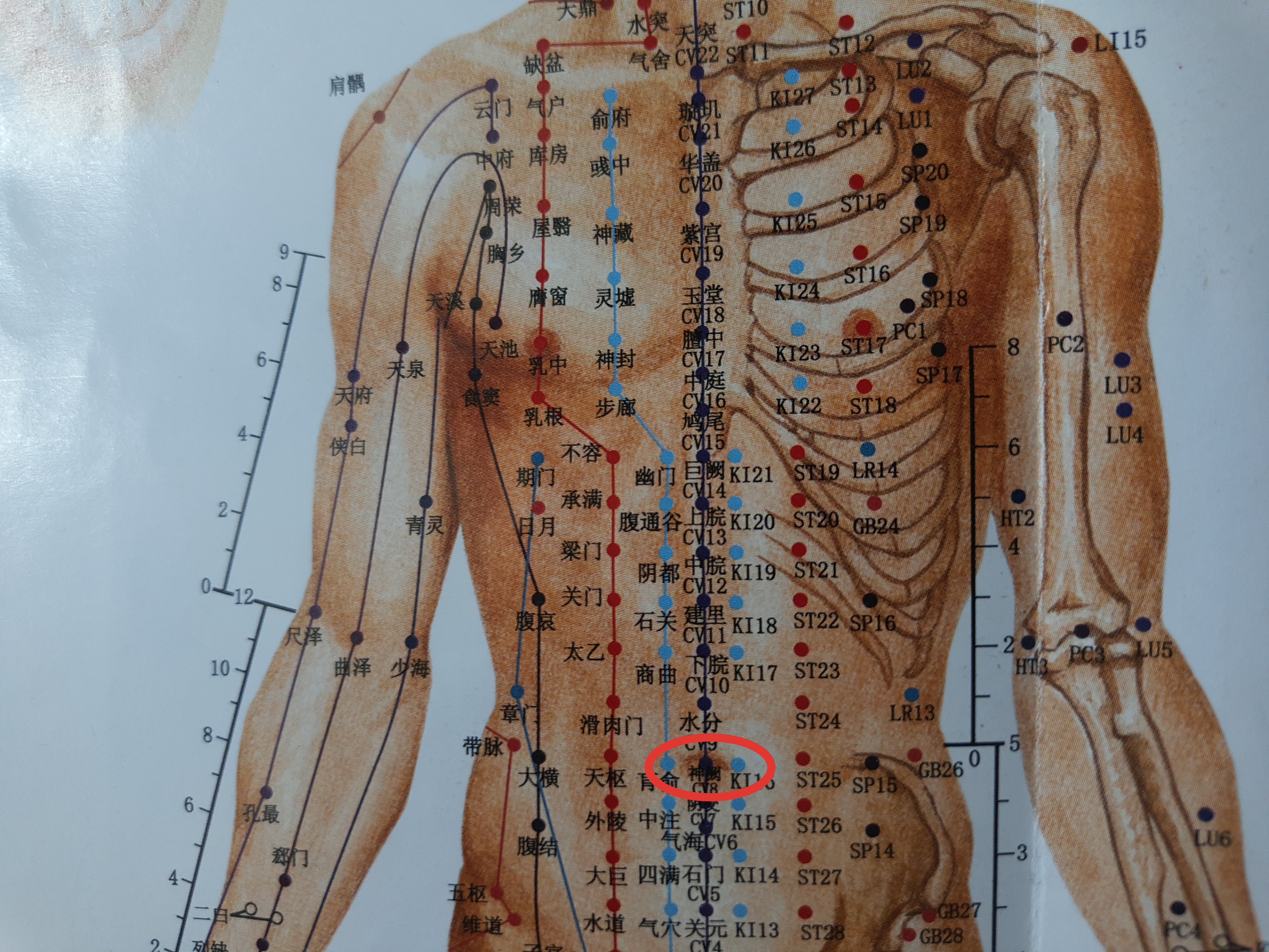 腰腿血脉不通按什么穴位,打通腰腿最简单的方法