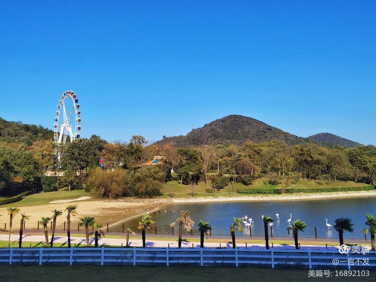 秋之旅免费完整版,秋之旅风景图片