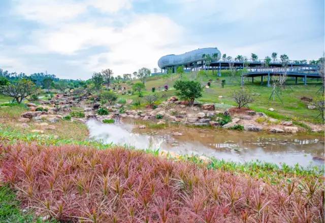 深圳北站中心公园现状,深圳北站旅游公园