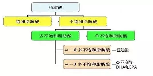 食用油如何换着吃？你需要知道的知识和小技巧
