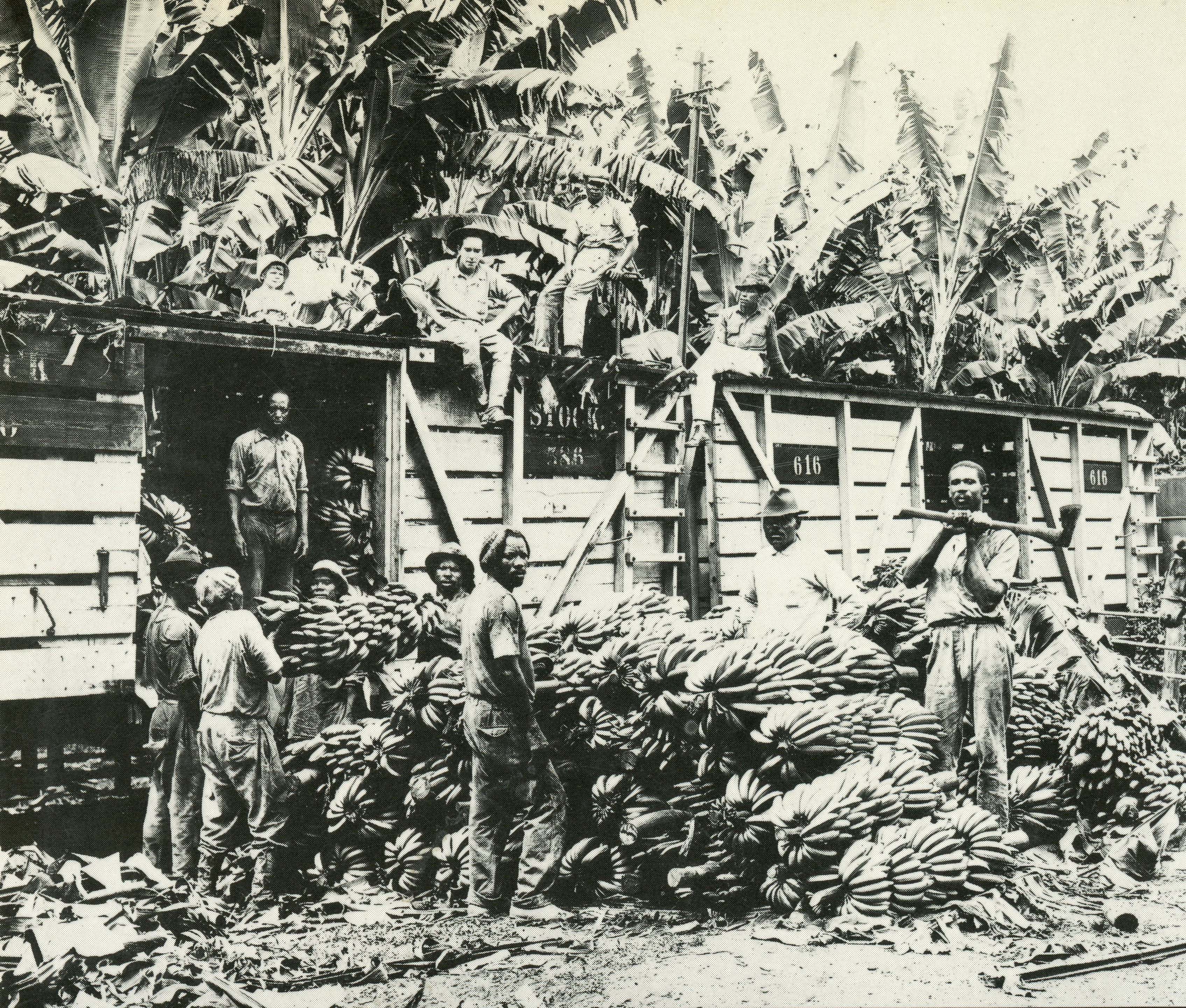 哪个国家因为足球比赛而停止内战,足球史上最激烈的冲突