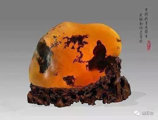 这些奇奇怪怪的奇石让人不忍直视,奇石每一件都是绝无仅有