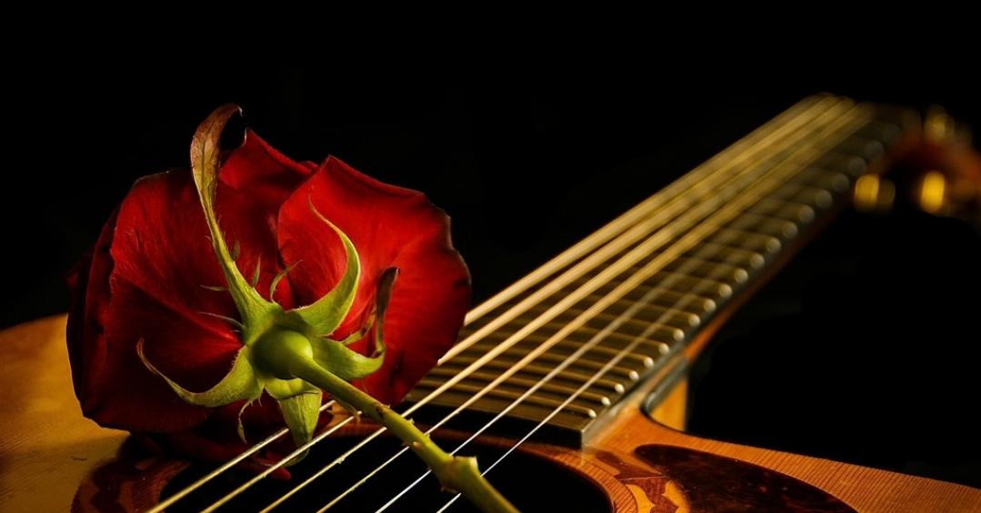 吉他入门初学者遇上吉他琴距离弦高时，该怎么破？