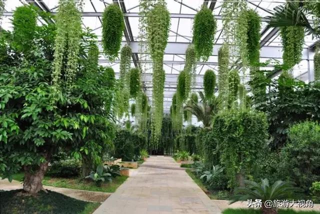 南京十大特色村庄,南京最美的十大村庄