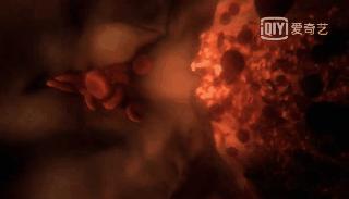 人体的奥秘你知道多少,人体的奥秘不简单