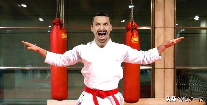 伊布老妖,足球巨星伊布能力