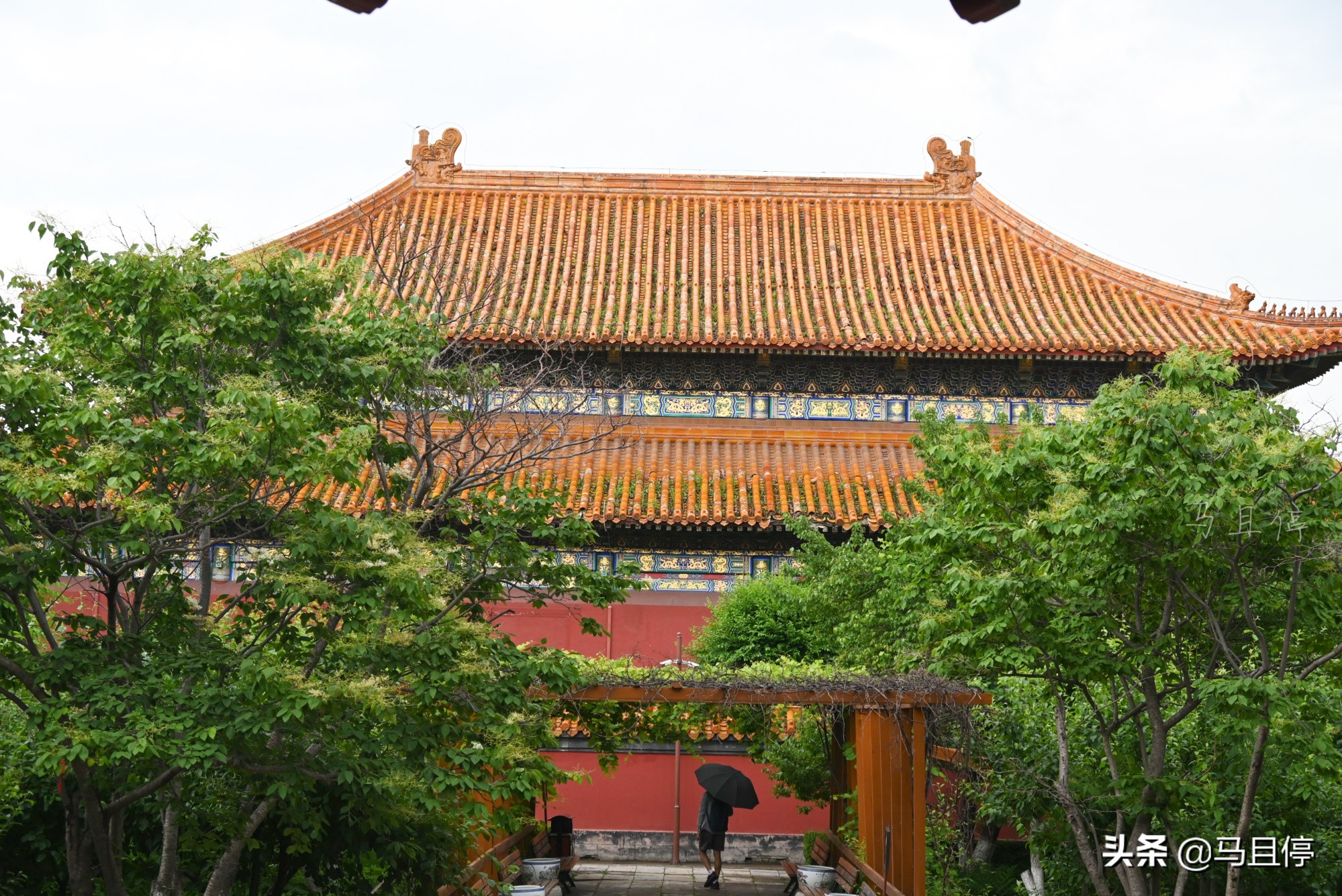 探秘哈尔滨文庙,哈尔滨最大的文庙