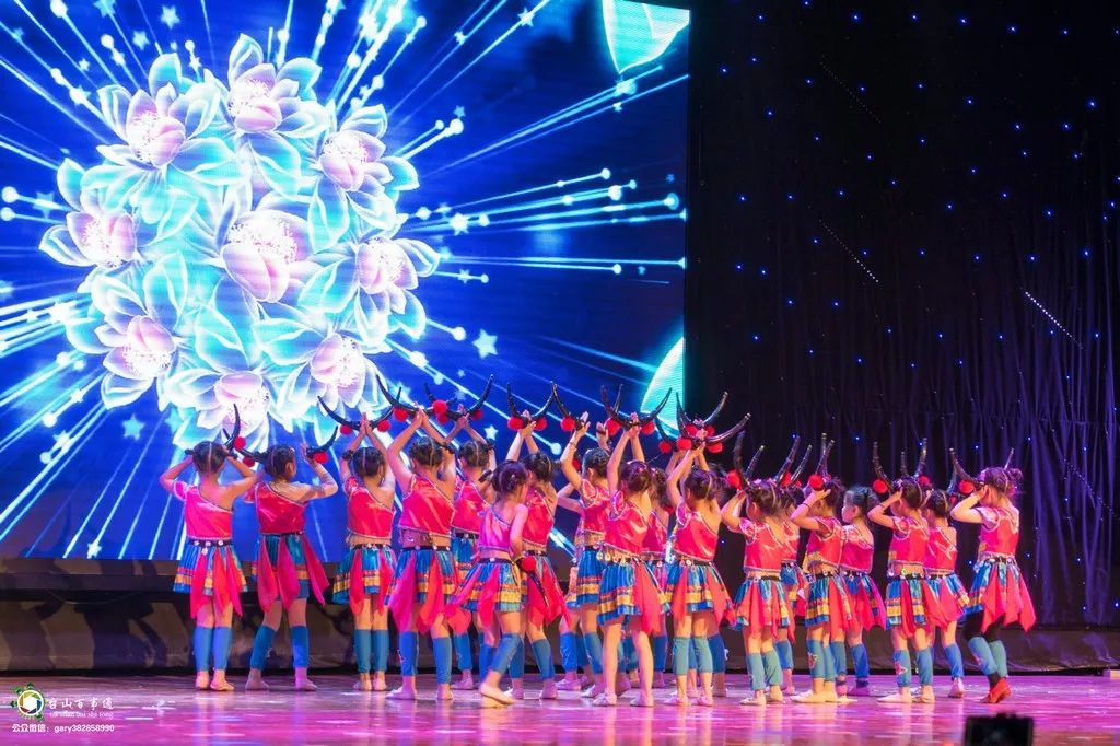 台山碧桂园学校上网课,台山碧桂园学校研学