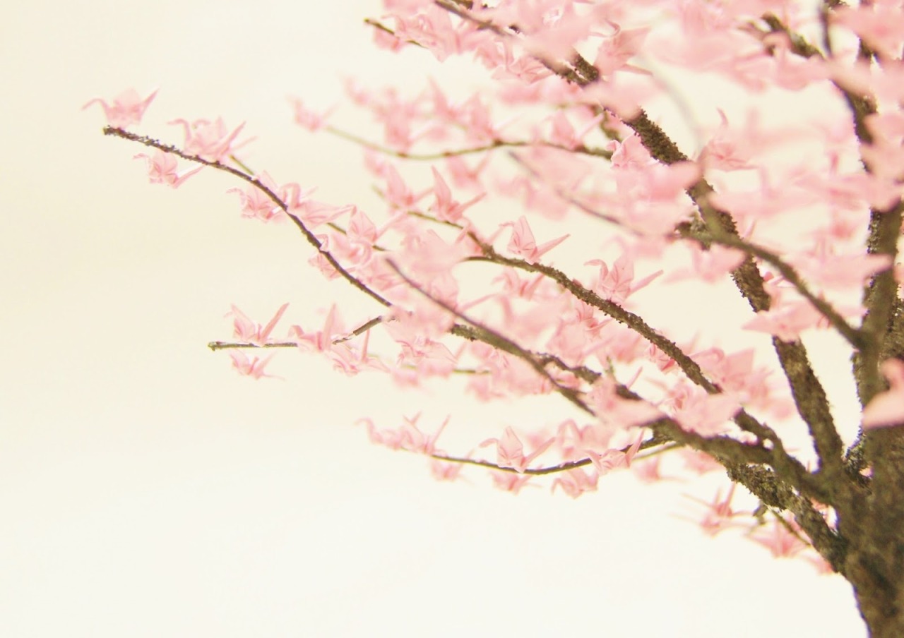 日本千纸鹤折纸,日本折千纸鹤的纸