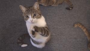 3000+在看的假博主,邀你看长沙“御泥坊”