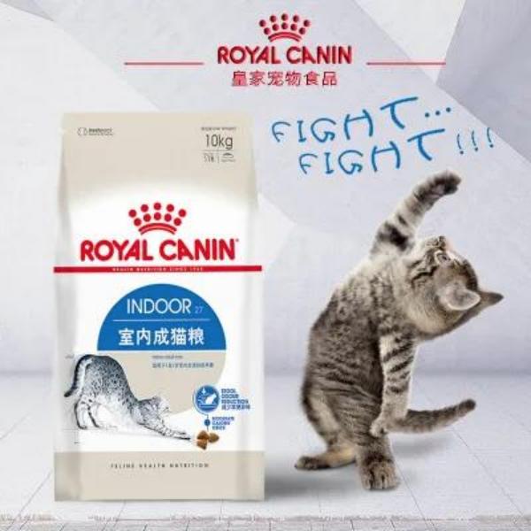 十大必买猫咪用品,这六种猫咪千万别买