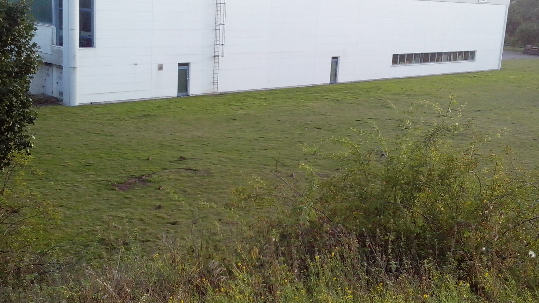 德国男人的真正面目,德国男人严谨的习惯