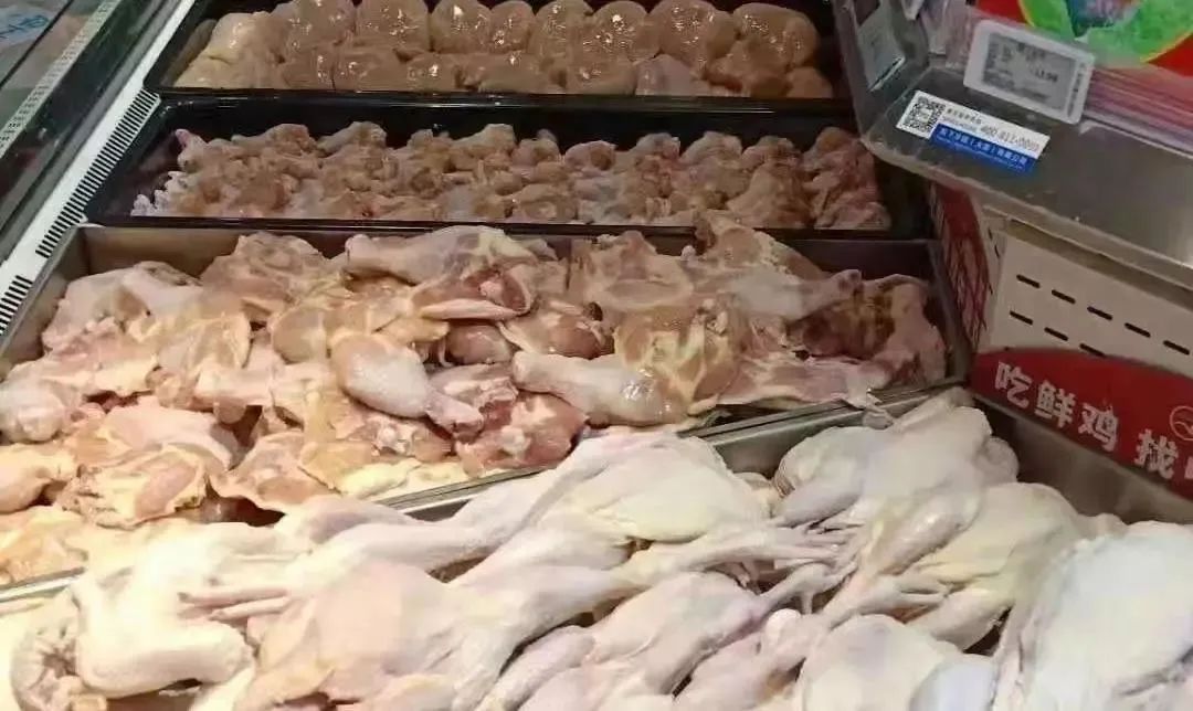 抗击疫情活动报告,抗击疫情最新报告发布会