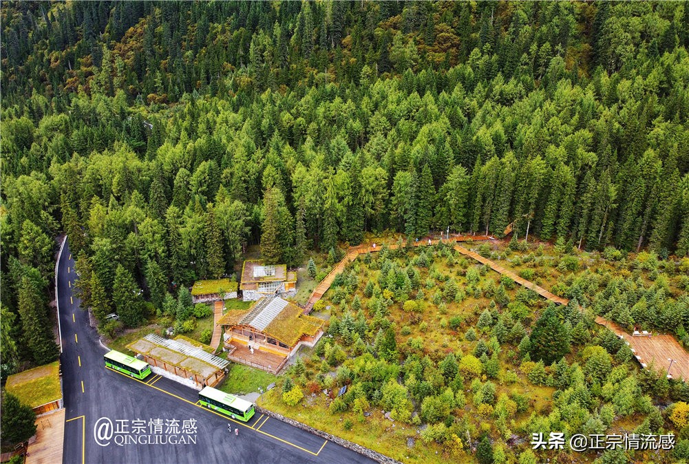 夜色成都串串爽,魅力小金苹果香#国庆中秋趣哪玩#