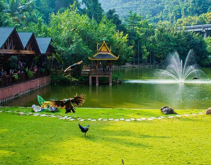 博悦旅游,云南西双版纳博悦