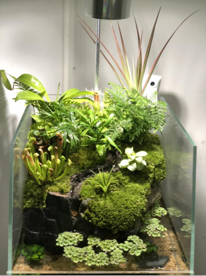 半夜睡不着想改造房间把家拆了,睡不着觉的装修效果图