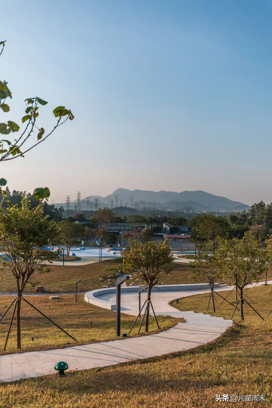 深圳中心公园足球场,深圳中心公园大草坪