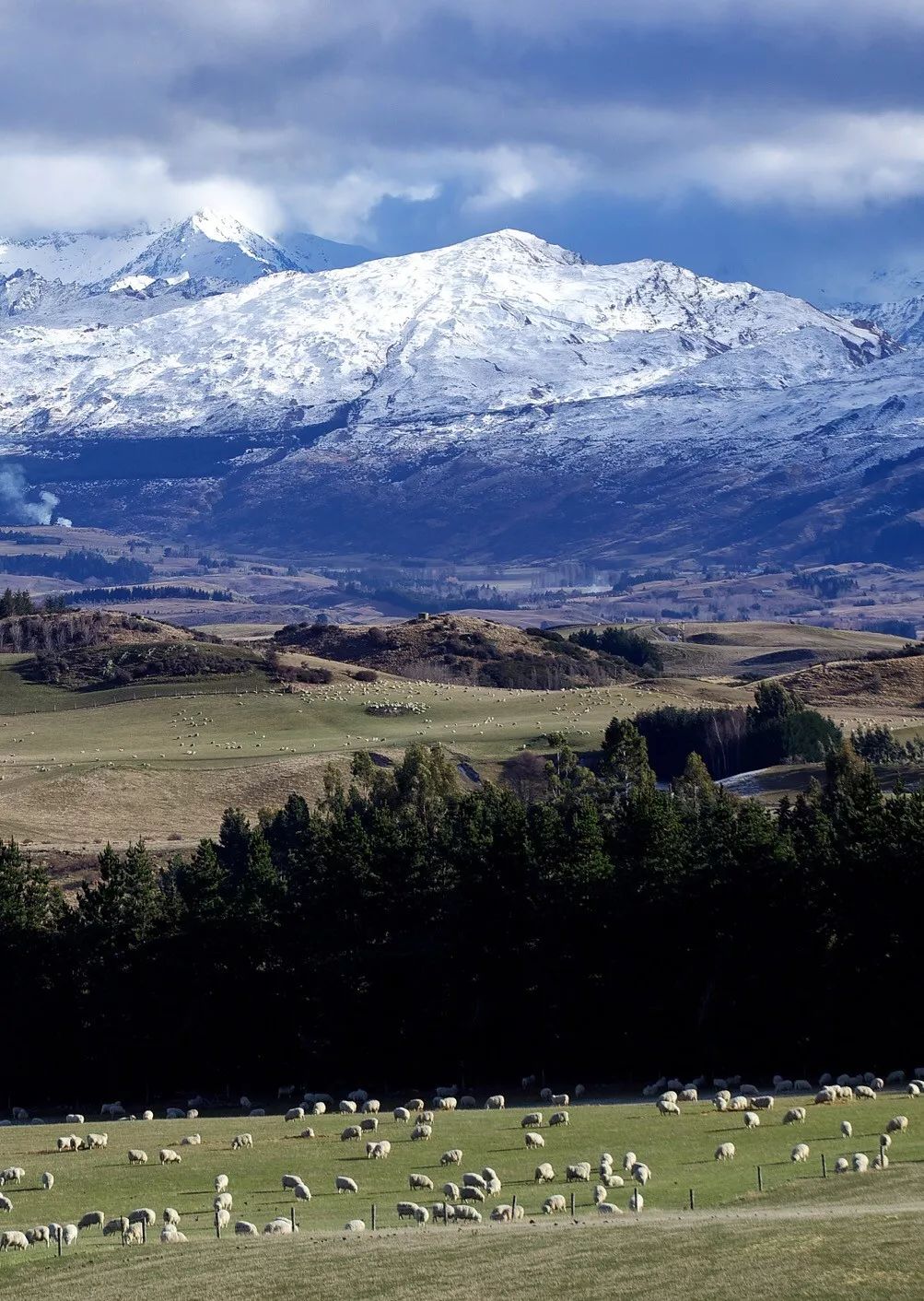 新西兰为什么那么发达,新西兰为什么这么牛