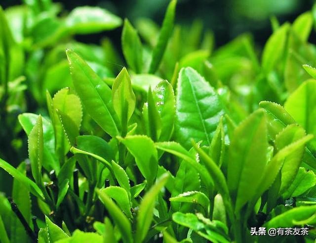 幽默笑话大全笑到肚子疼小朋友,幽默笑话大全笑到肚子疼孩子