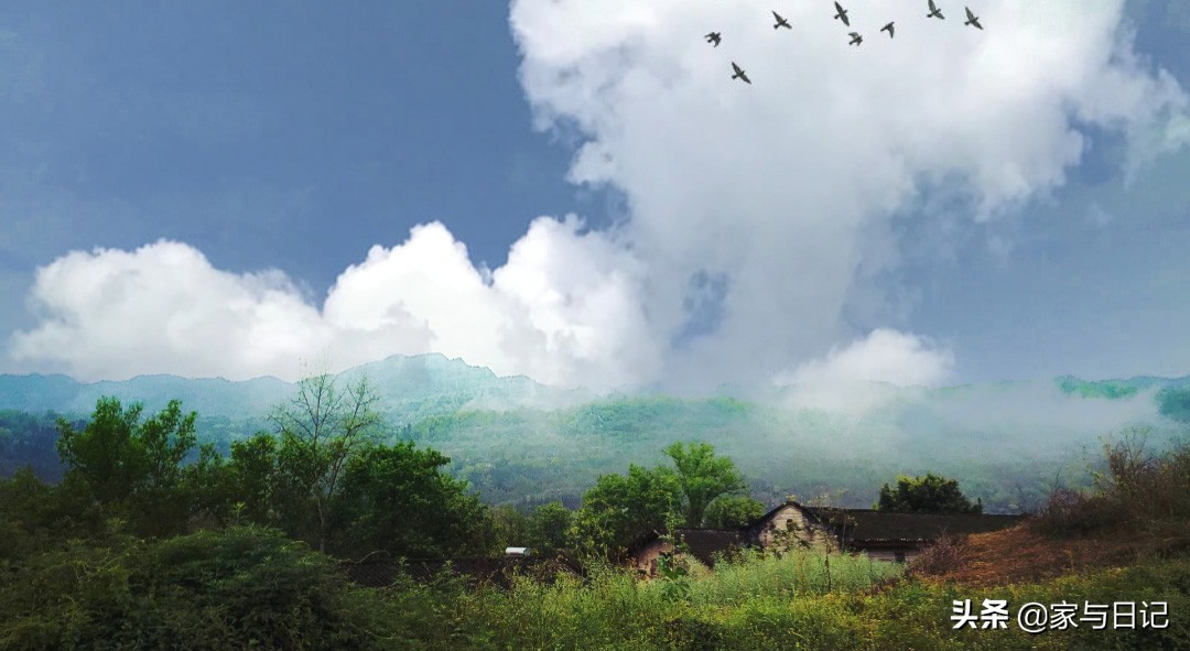 摄影必备的十款app,手机摄影入门教程app