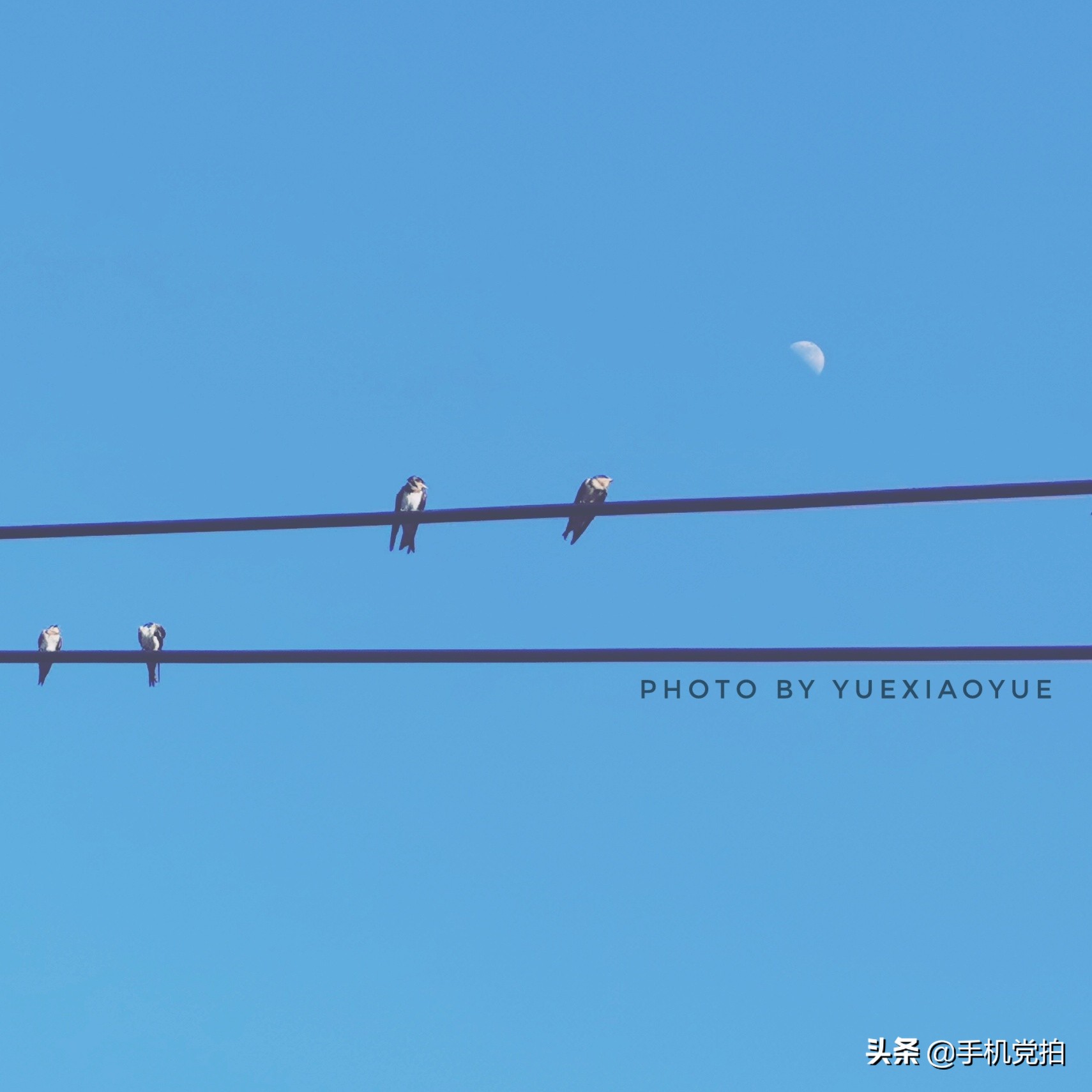 如何快速给大量照片添加水印,怎么给照片加好看的水印