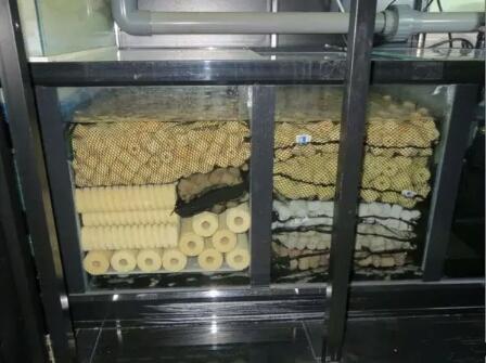 饲养观赏鱼需要哪些滤材,饲养观赏鱼时水族箱有哪些要求