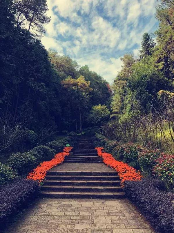 花山谜窟星期三免门票怎么预约,抓紧时间来赏秋
