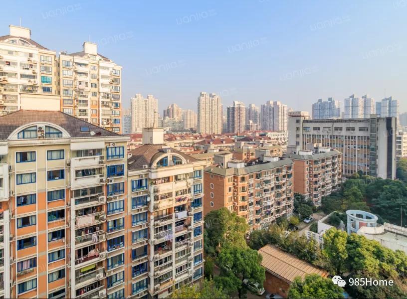 985home,上海师范大学附属小学梯队