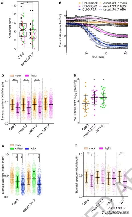 钙离子通道osca,nature神经免疫学研究
