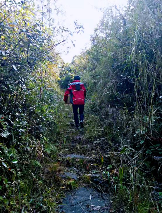 是谁温暖了我的2019,谁温暖了你的2023作文