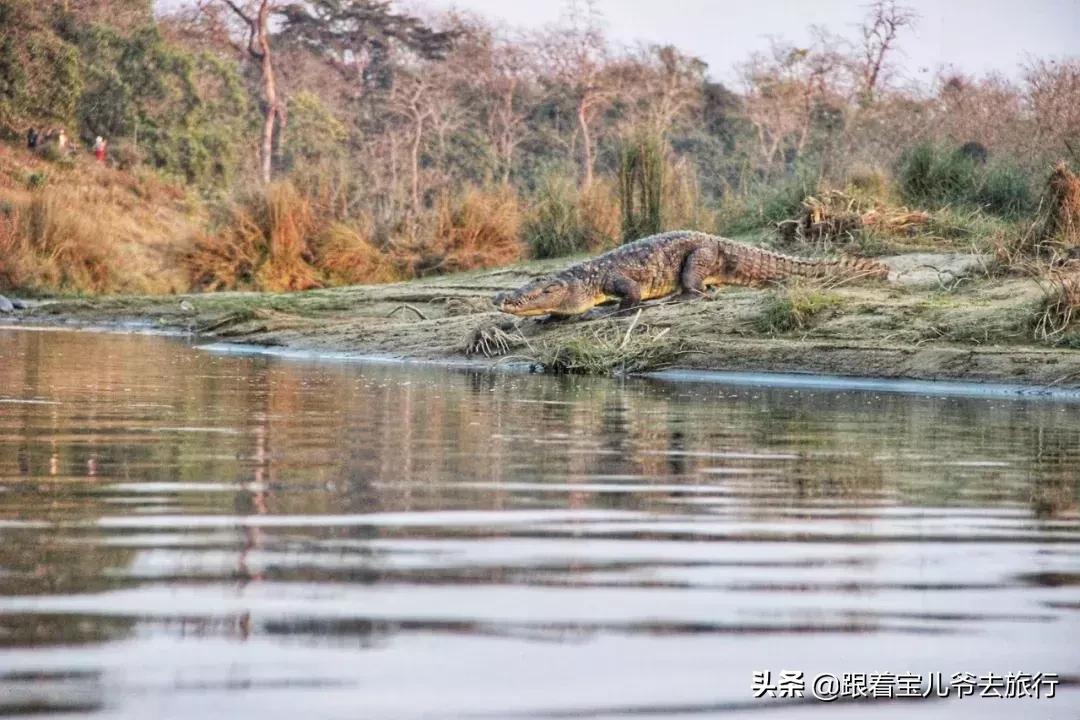 走进尼泊尔感受生活与风情,探访尼泊尔佛教徒
