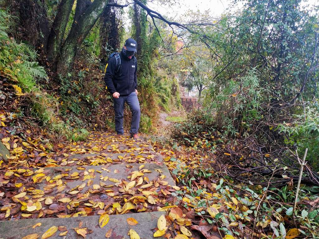 sog战术抓绒衣,sog战术抓绒套